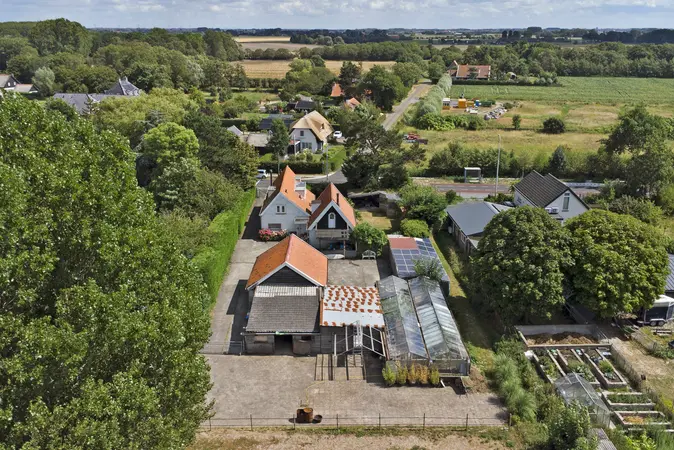 Afbeelding 59