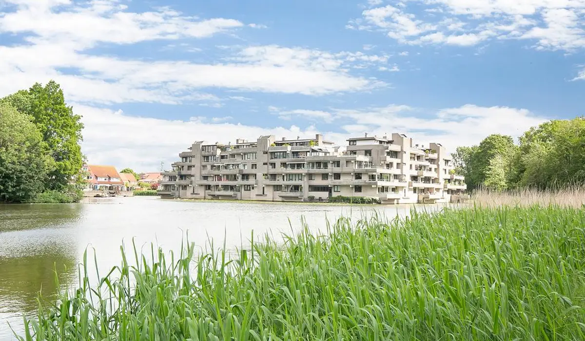 286135935.jpg
