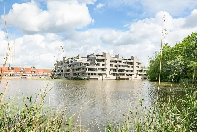 Afbeelding 2