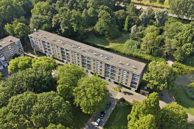 Afbeelding 23