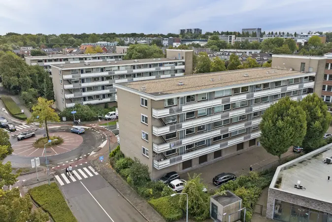 Afbeelding 38