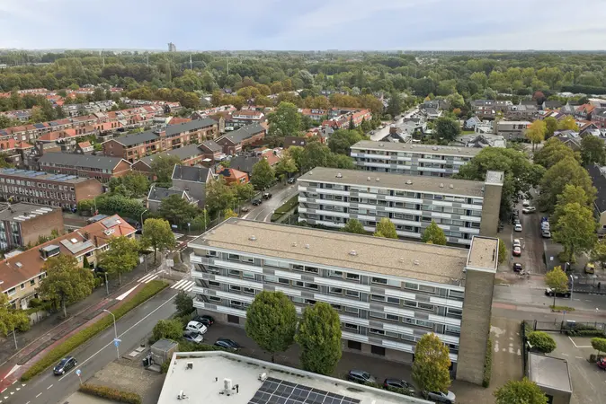 Afbeelding 41