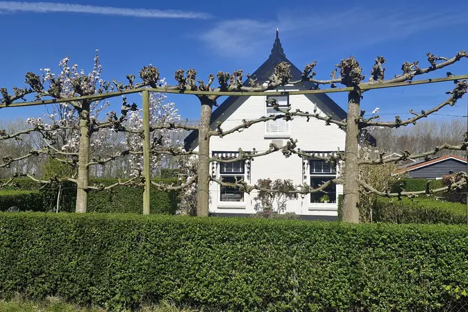 Afbeelding 63