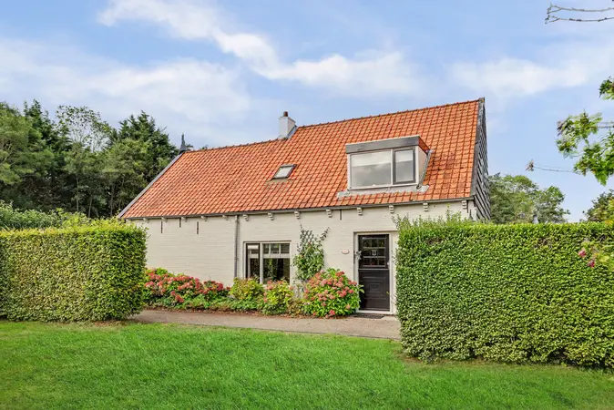 Afbeelding 12