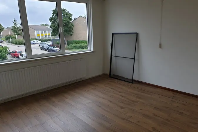 Afbeelding 8