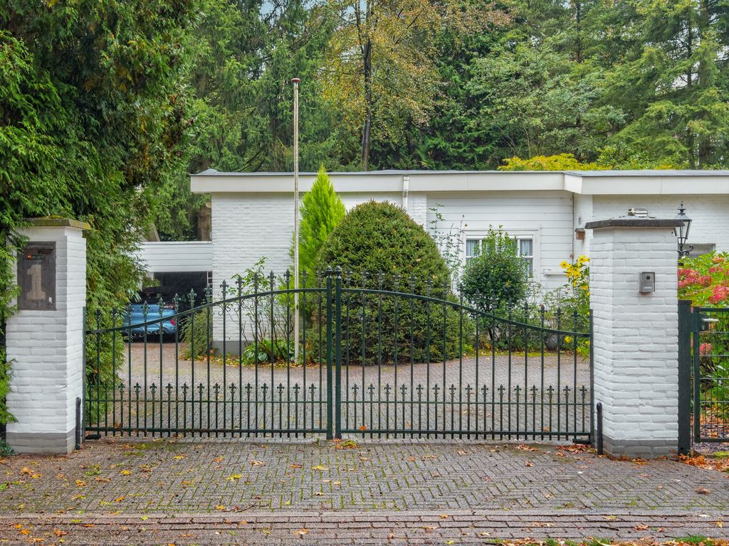 Mezenlaan 1, Leende