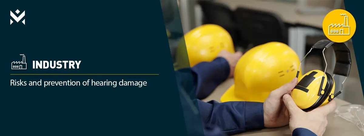 Risks and prevention of hearing damage
