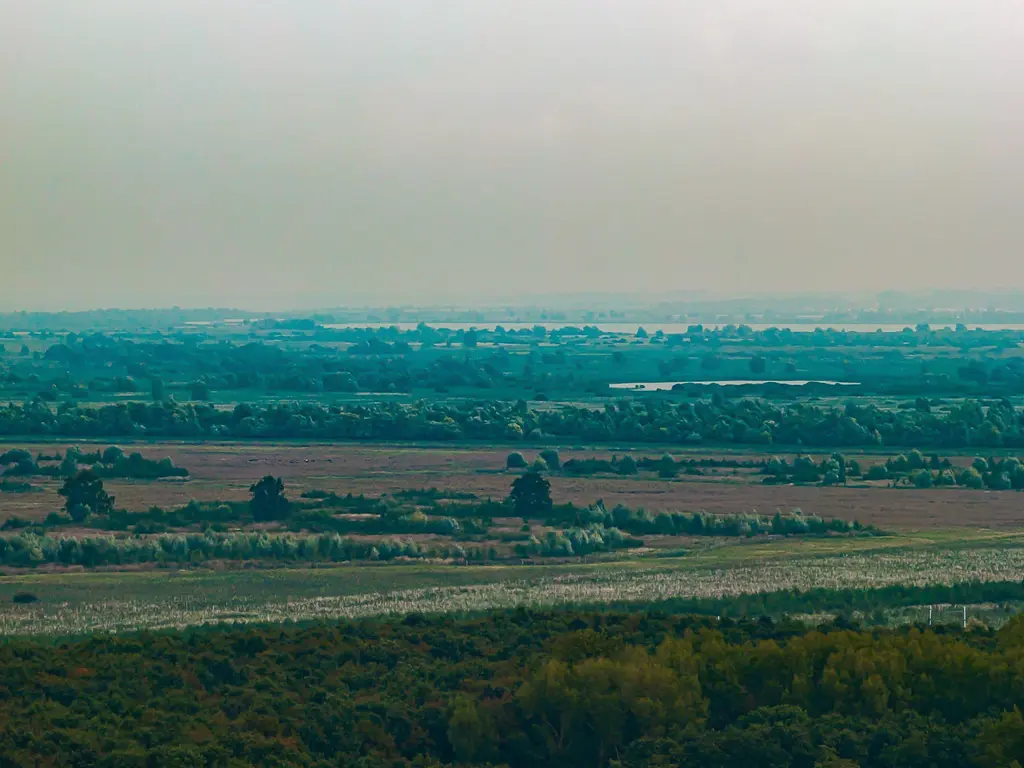 Mazureplantsoen 42, Almere