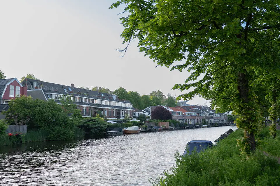 Tim van Delft