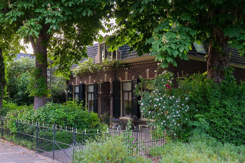 Zoeterwoude 3