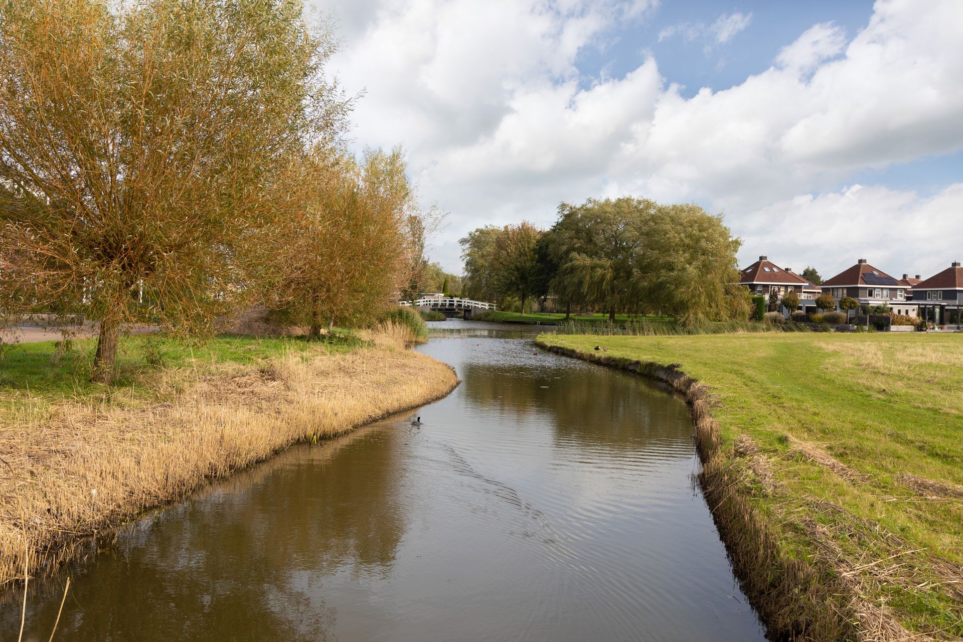 De Ljip 49, Bolsward