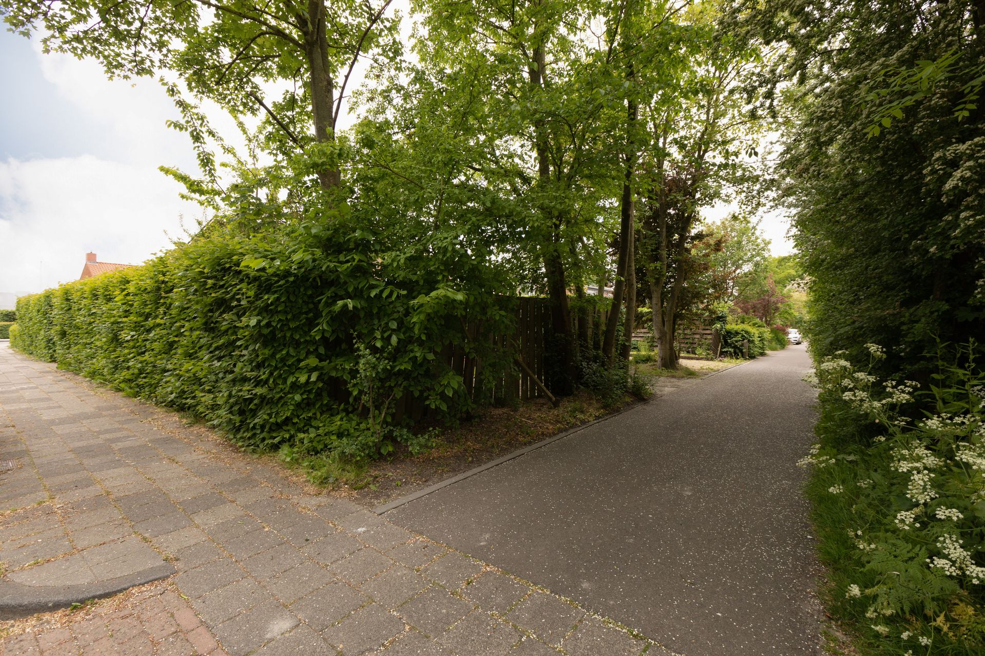 'T Bosk 65, Wommels