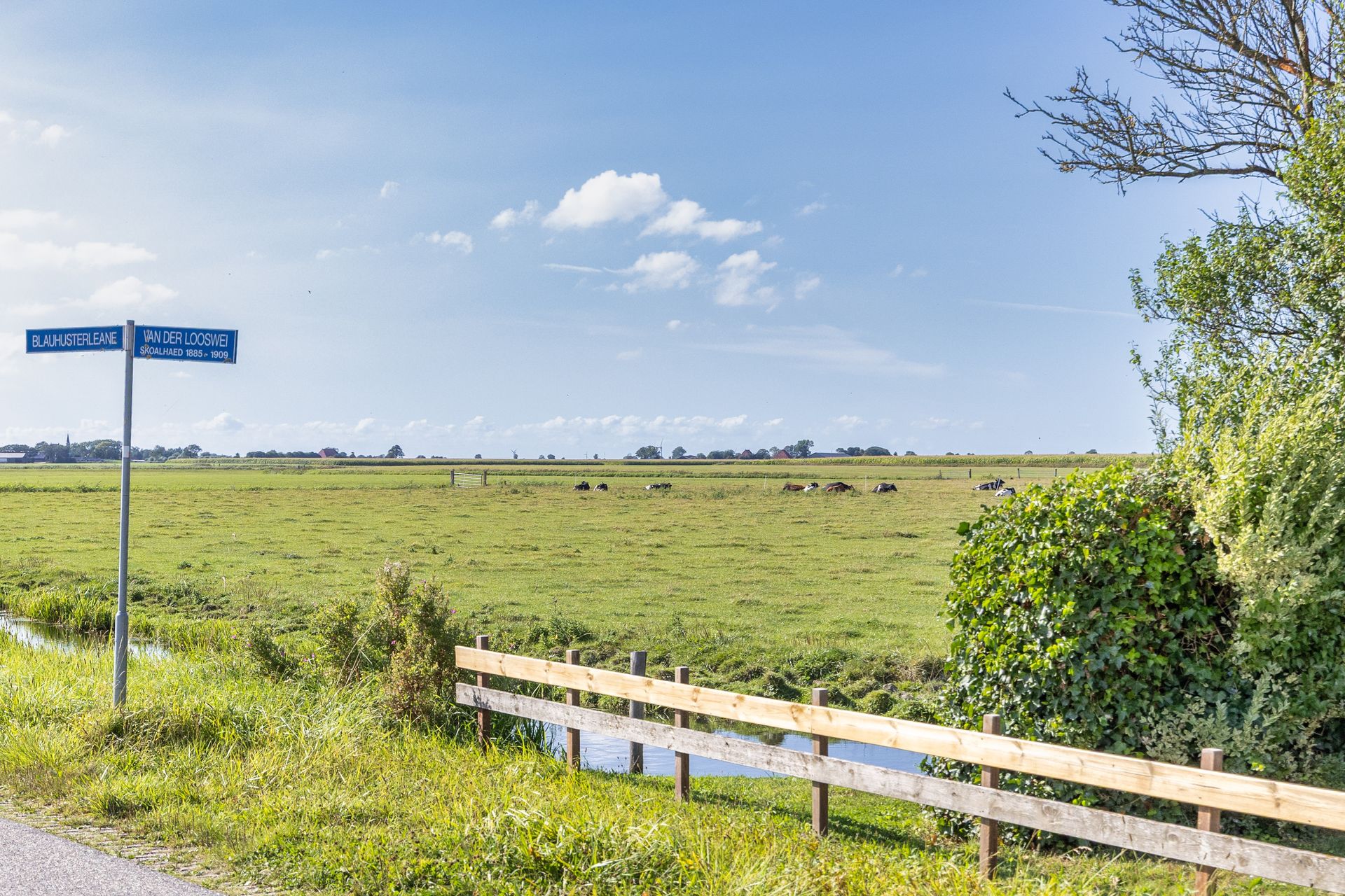 Van der Looswei 36, Blauwhuis