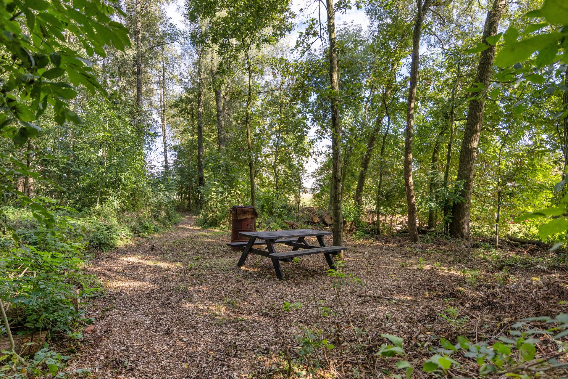 Arumerweg 84, Witmarsum