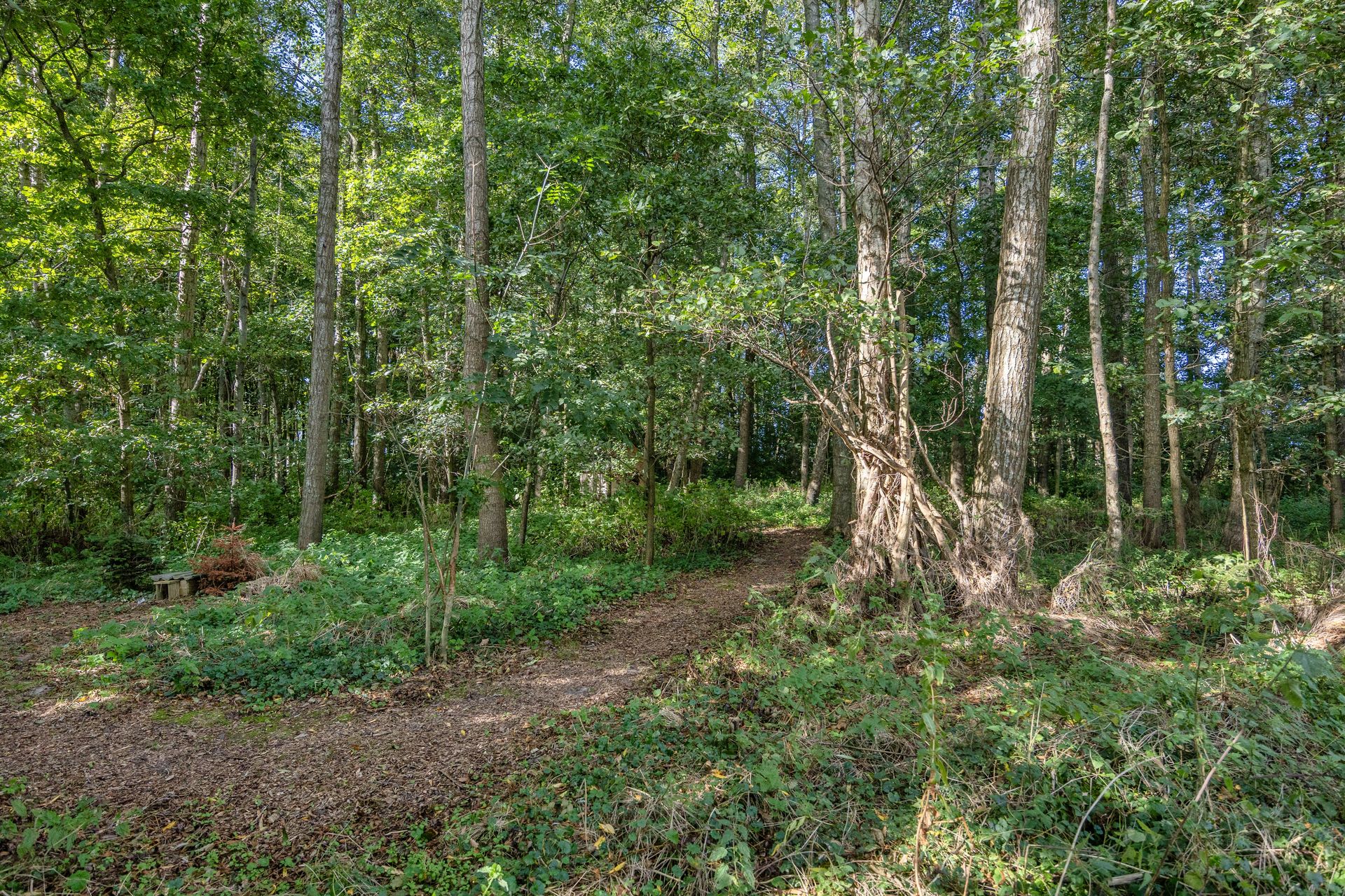 Arumerweg 84, Witmarsum