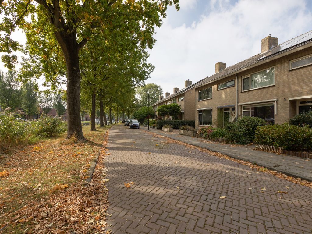 Stadsstreng 8, Bolsward