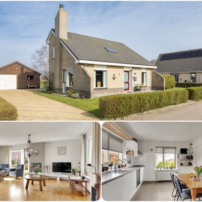 It Koekoeksl&acirc;n 11, Arum