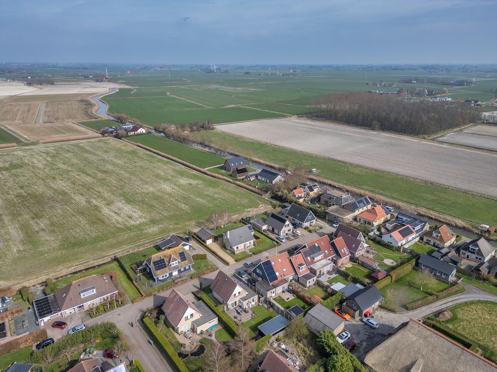 It Koekoeksl&acirc;n 11, Arum