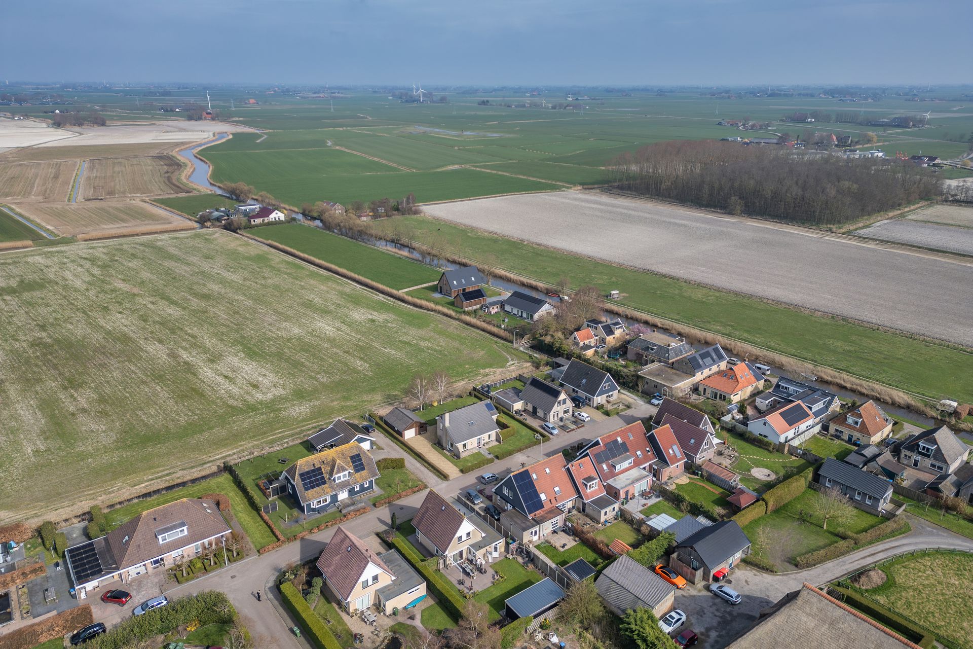 It Koekoeksl&acirc;n 11, Arum