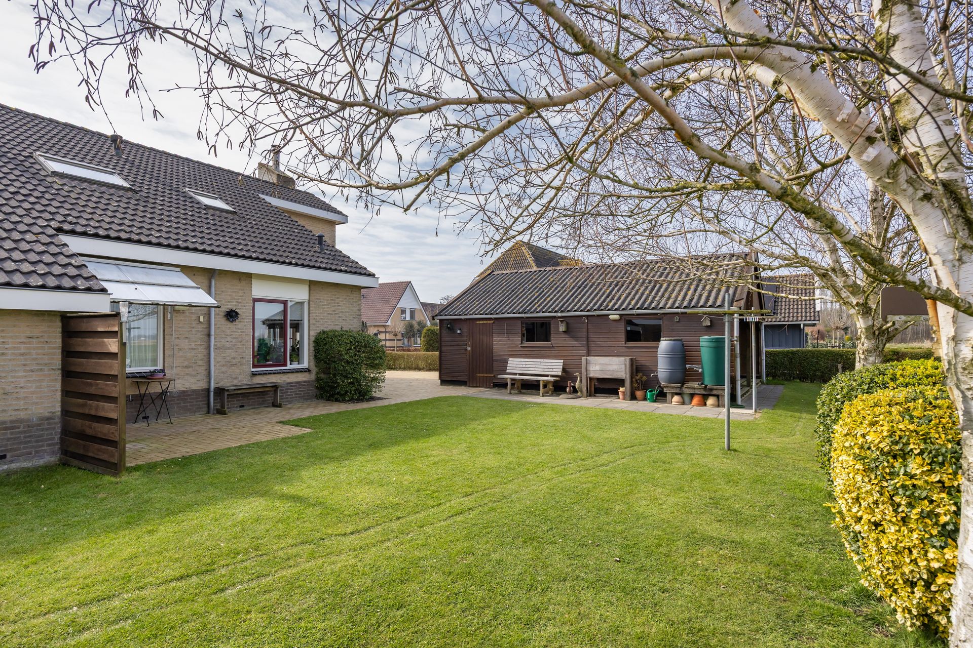 It Koekoeksl&acirc;n 11, Arum