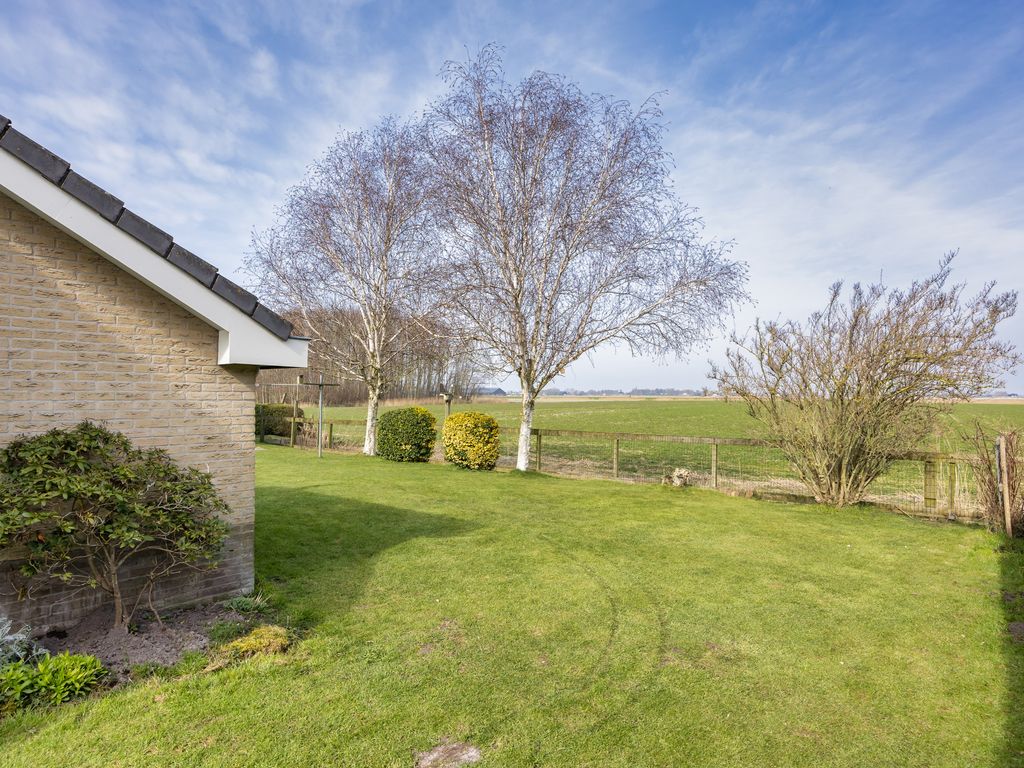 It Koekoeksl&acirc;n 11, Arum