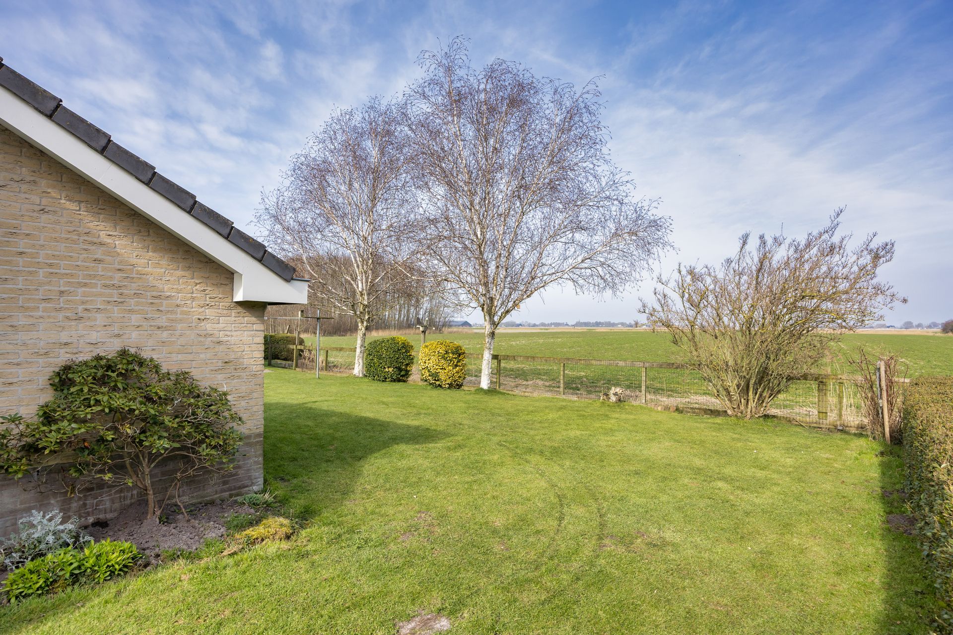 It Koekoeksl&acirc;n 11, Arum