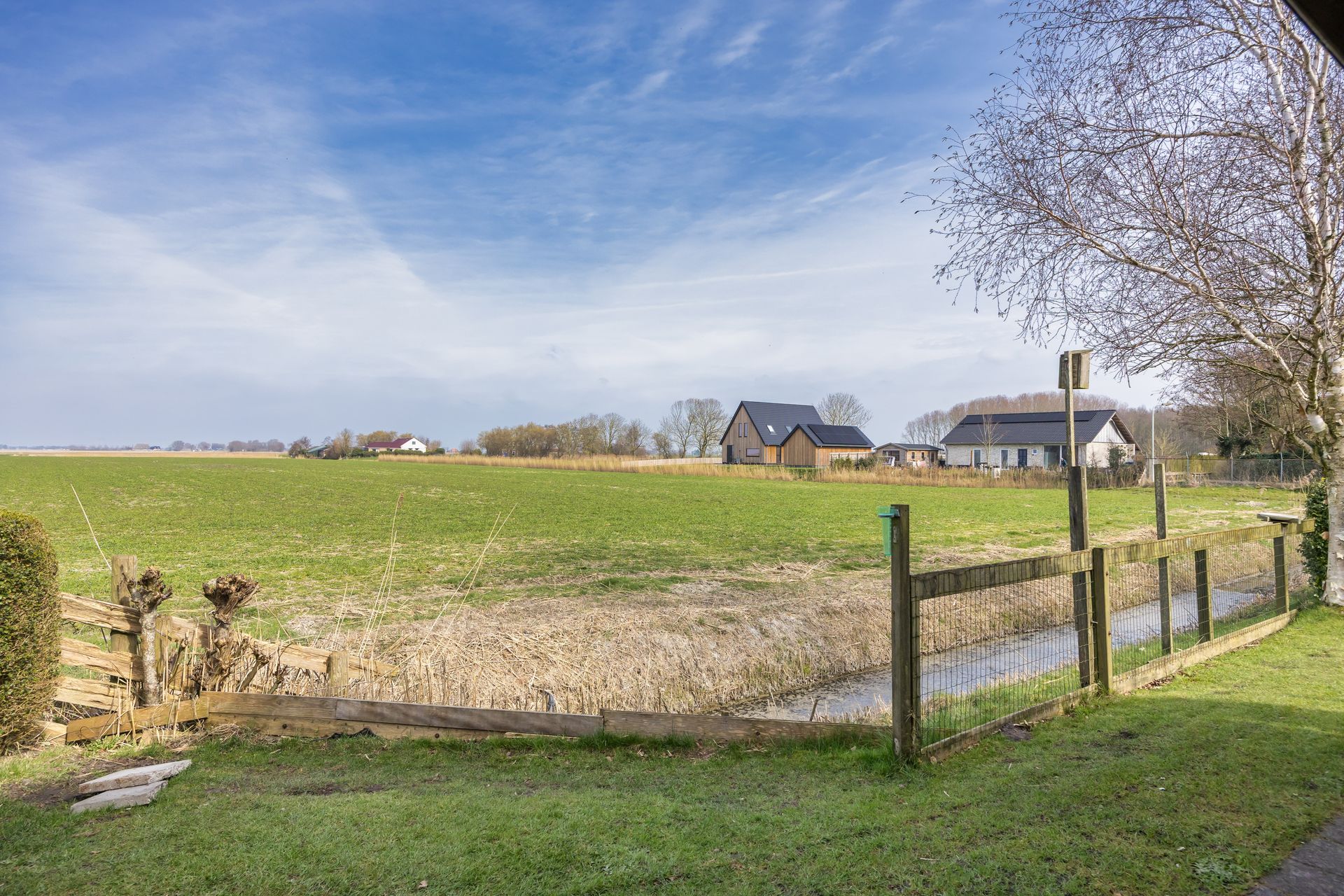 It Koekoeksl&acirc;n 11, Arum