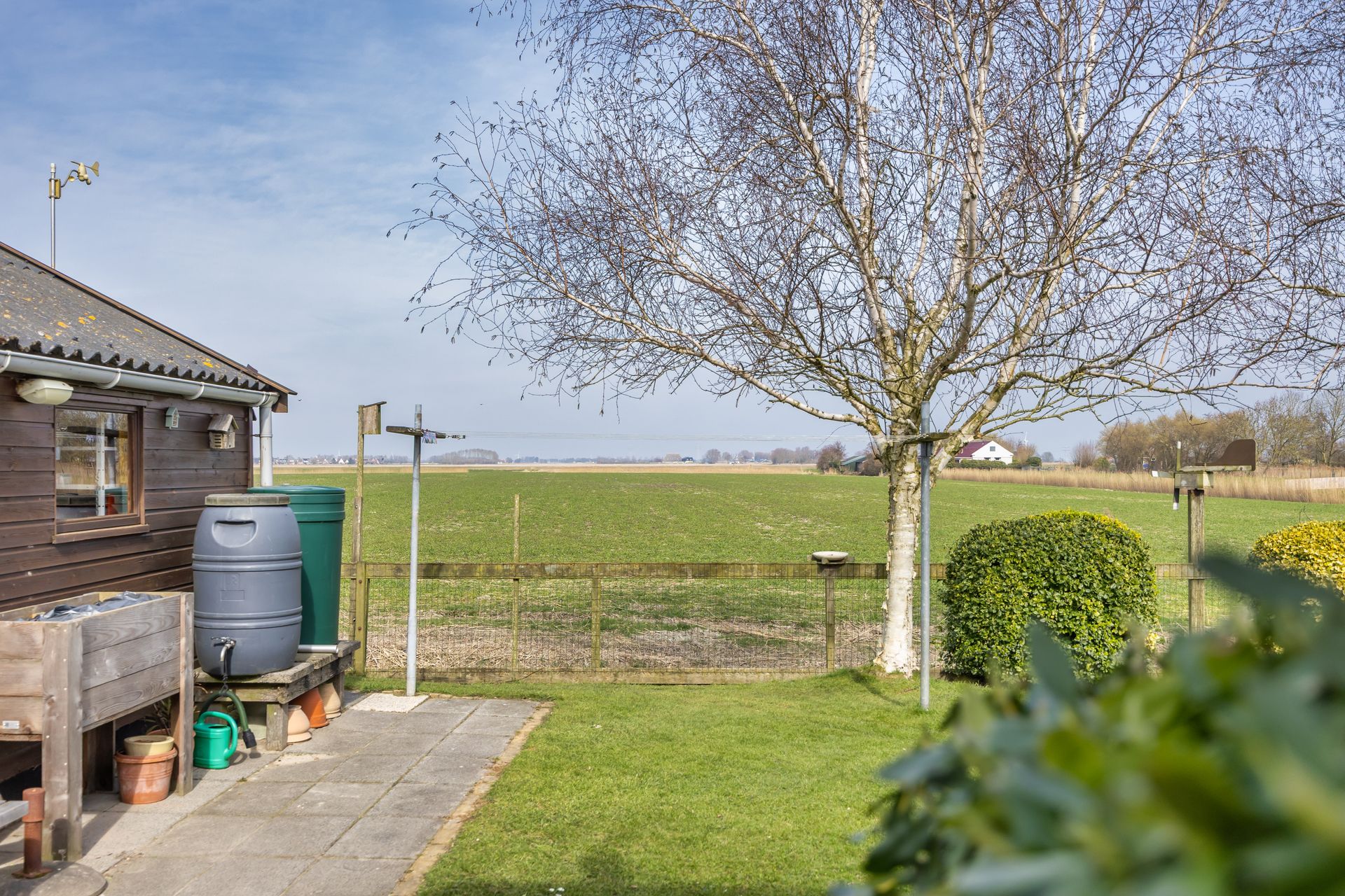 It Koekoeksl&acirc;n 11, Arum