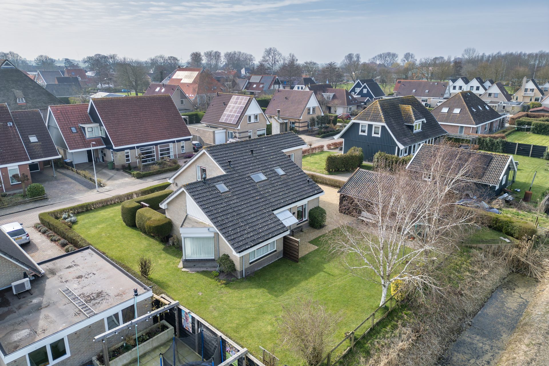 It Koekoeksl&acirc;n 11, Arum