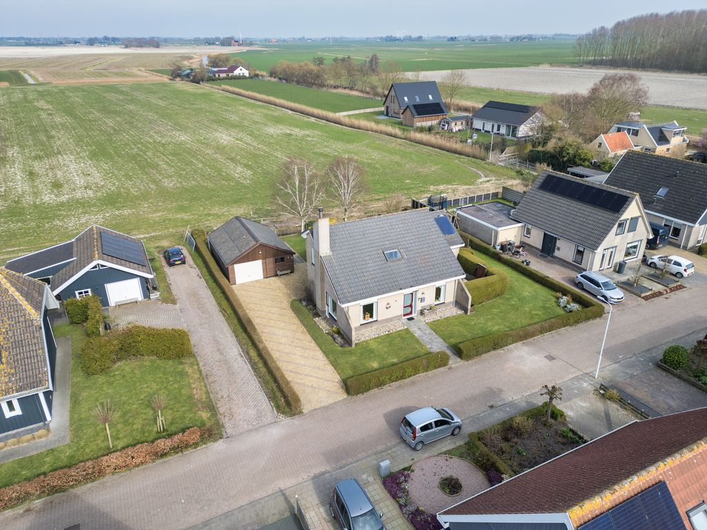 It Koekoeksl&acirc;n 11, Arum