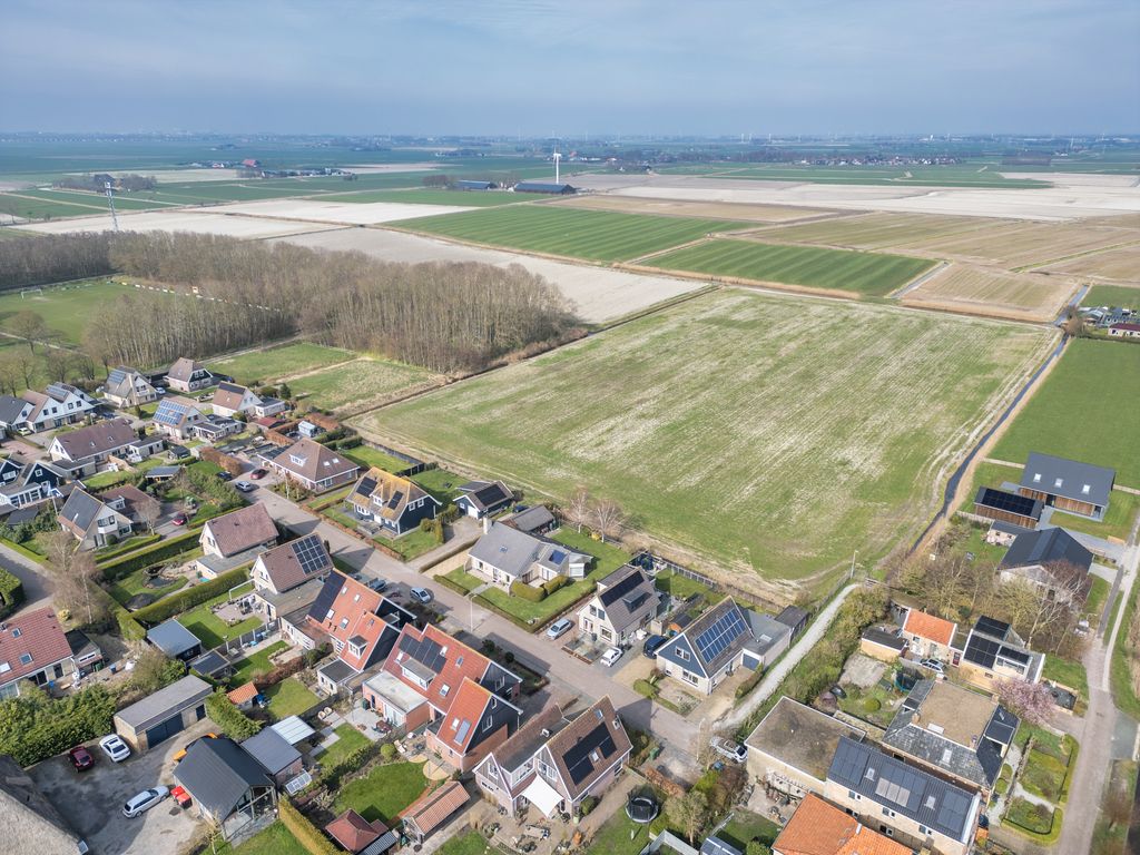 It Koekoeksl&acirc;n 11, Arum