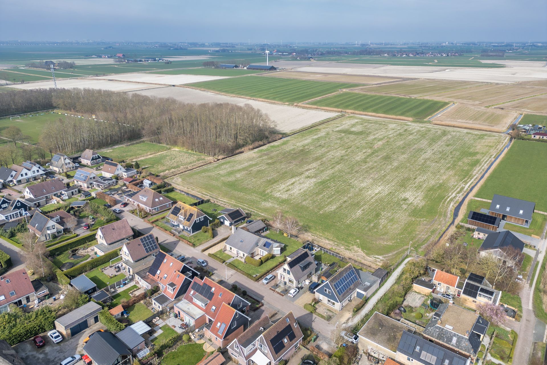 It Koekoeksl&acirc;n 11, Arum