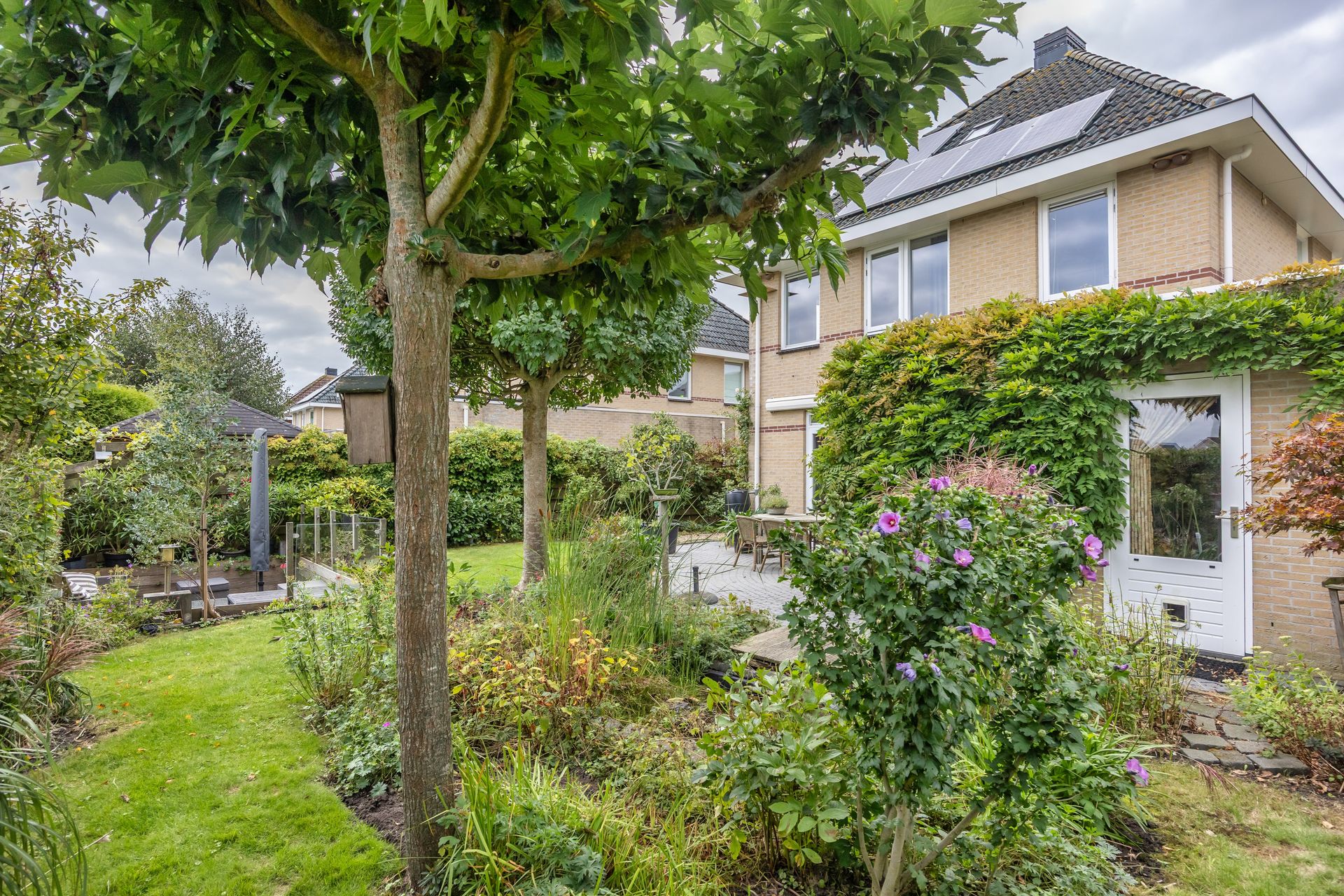 De Wylp 9, Bolsward