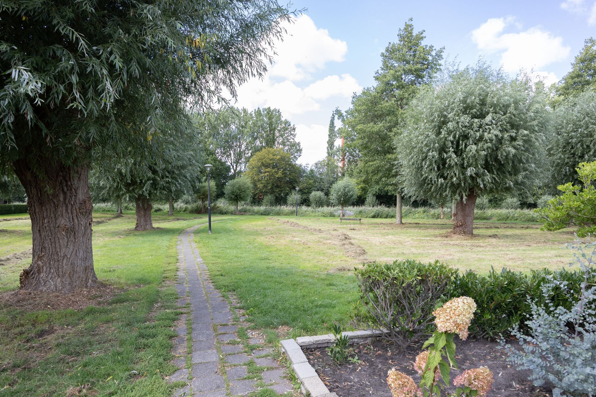 De Terpen 3, Bolsward
