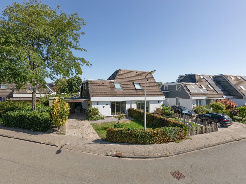 F&ucirc;gelikkers 1, Workum