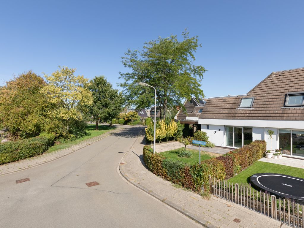 F&ucirc;gelikkers 1, Workum