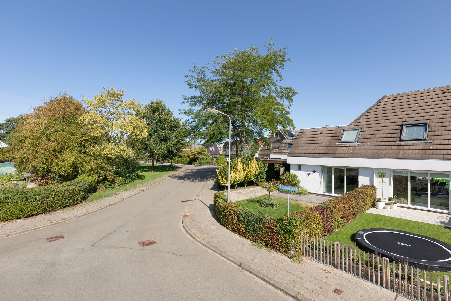 F&ucirc;gelikkers 1, Workum
