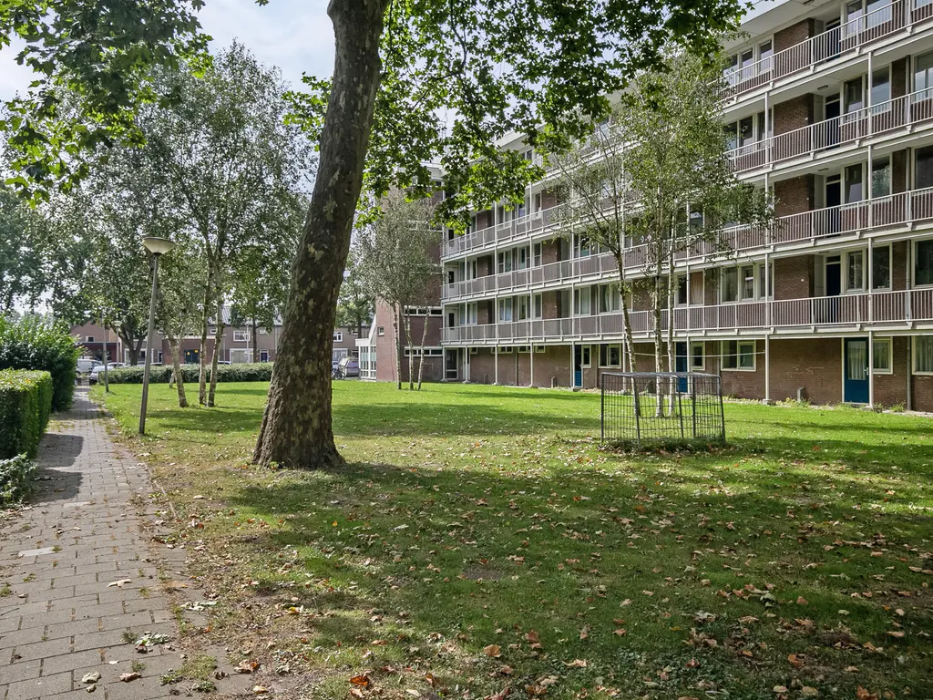 Cederstraat 30, Spijkenisse