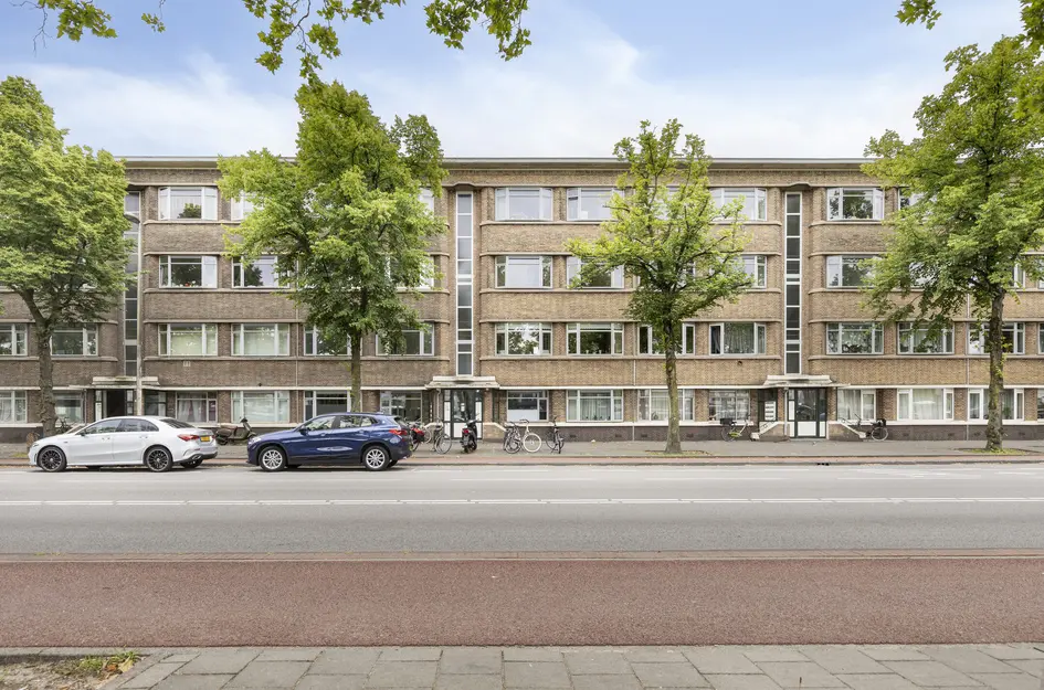 Troelstrakade 407