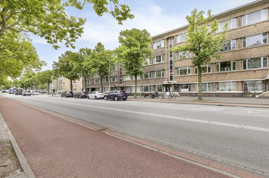 Troelstrakade 407