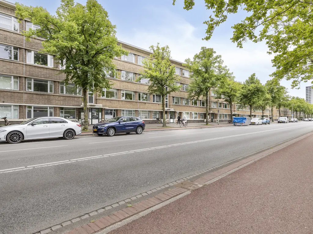 Troelstrakade 407, Den Haag