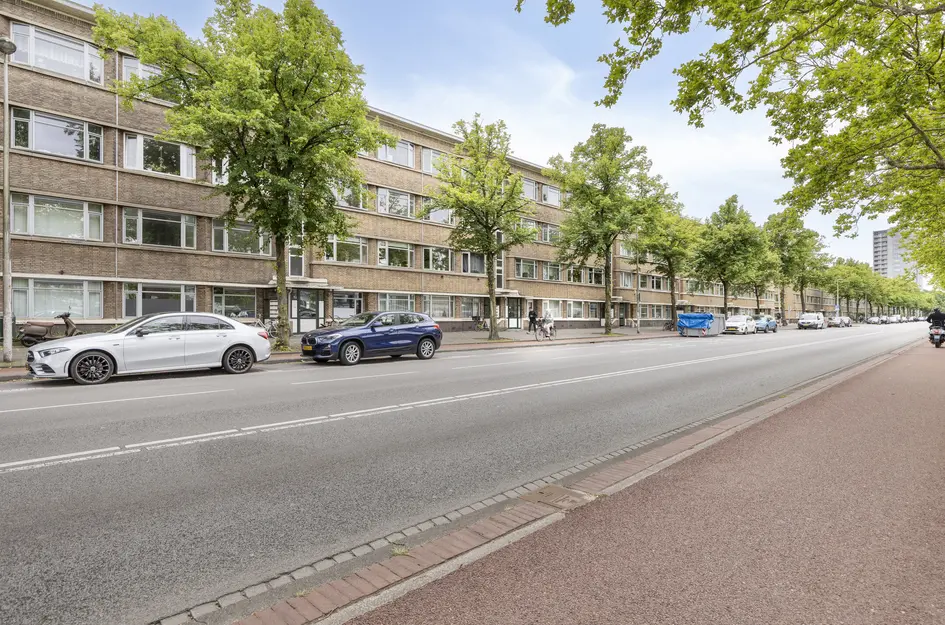 Troelstrakade 407
