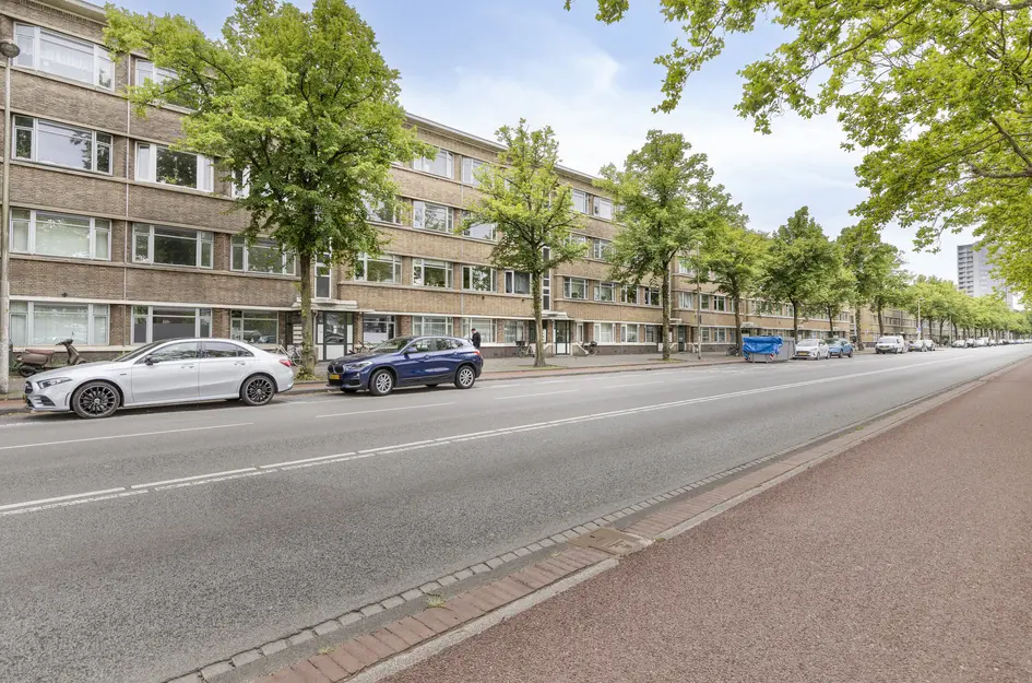 Troelstrakade 407
