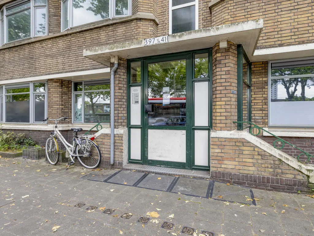 Troelstrakade 407, Den Haag