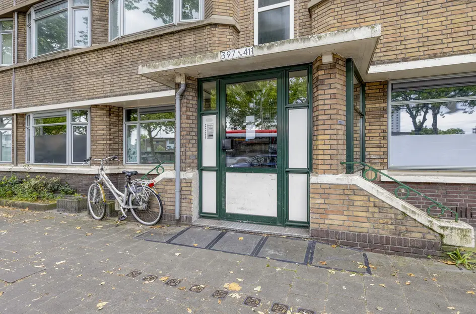 Troelstrakade 407
