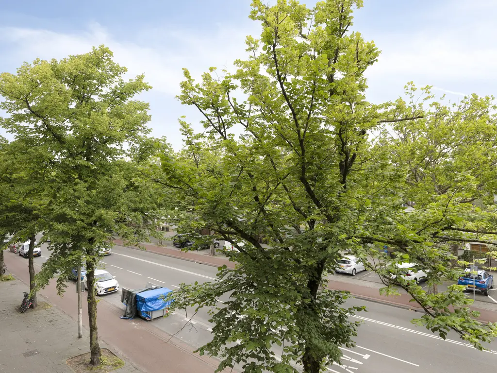 Troelstrakade 407, Den Haag