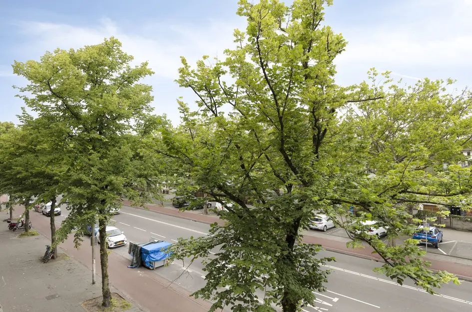Troelstrakade 407