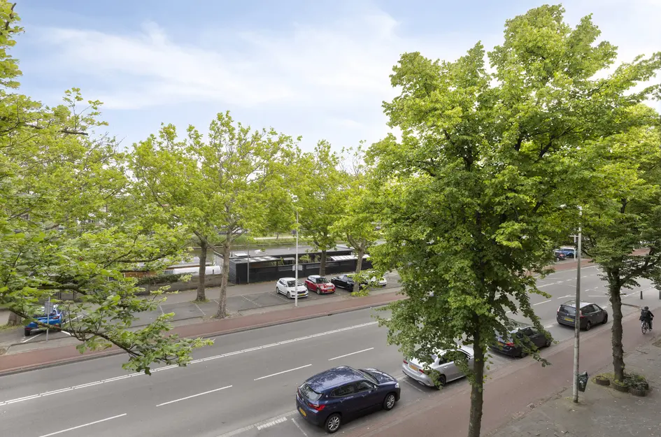 Troelstrakade 407