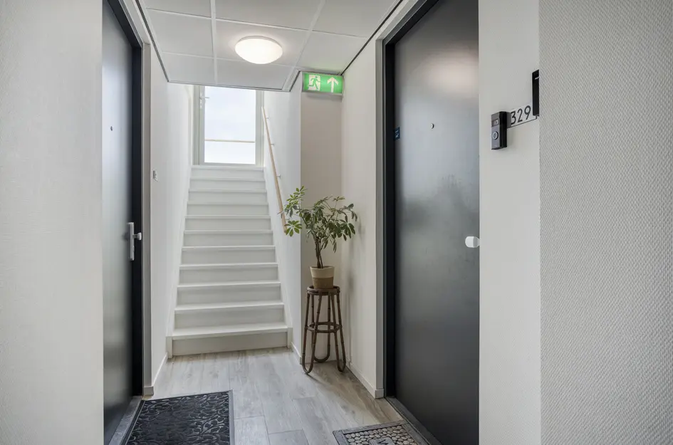 Promenade 329