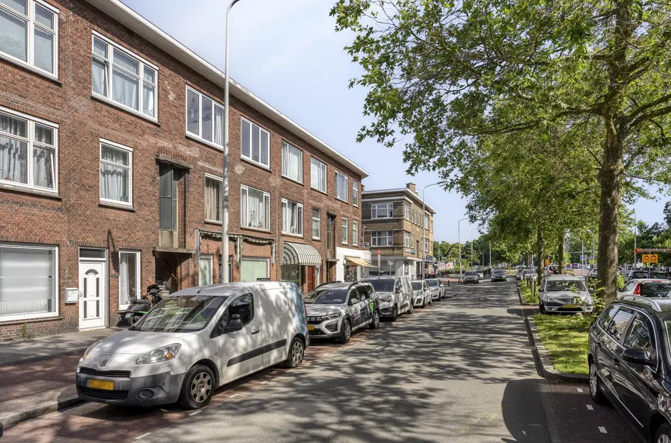 Zuiderparklaan 470